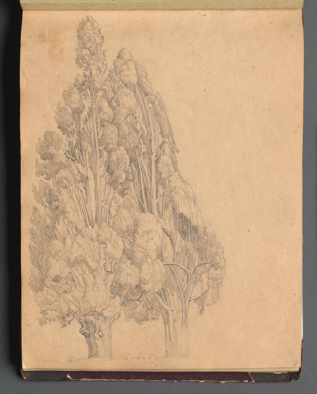 Roma ve Çevresi Manzaralı Albüm, Peyzaj Çalışmaları, sayfa 13a: Ağaçlar. by Franz Johann Heinrich Nadorp
