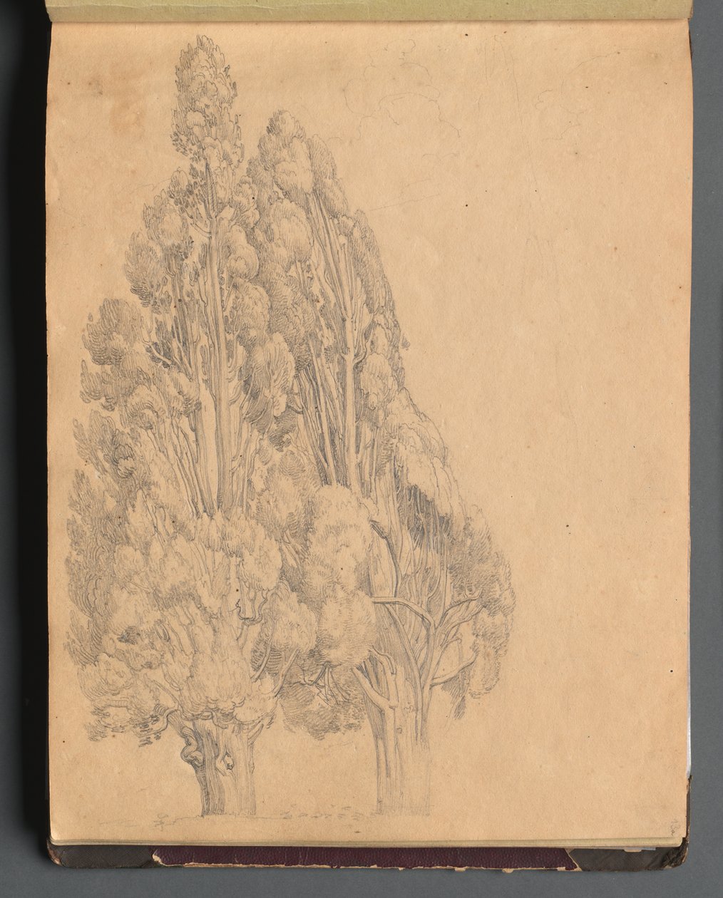 Roma ve Çevresi Manzaralı Albüm, Peyzaj Çalışmaları, sayfa 13a: Ağaçlar by Franz Johann Heinrich Nadorp