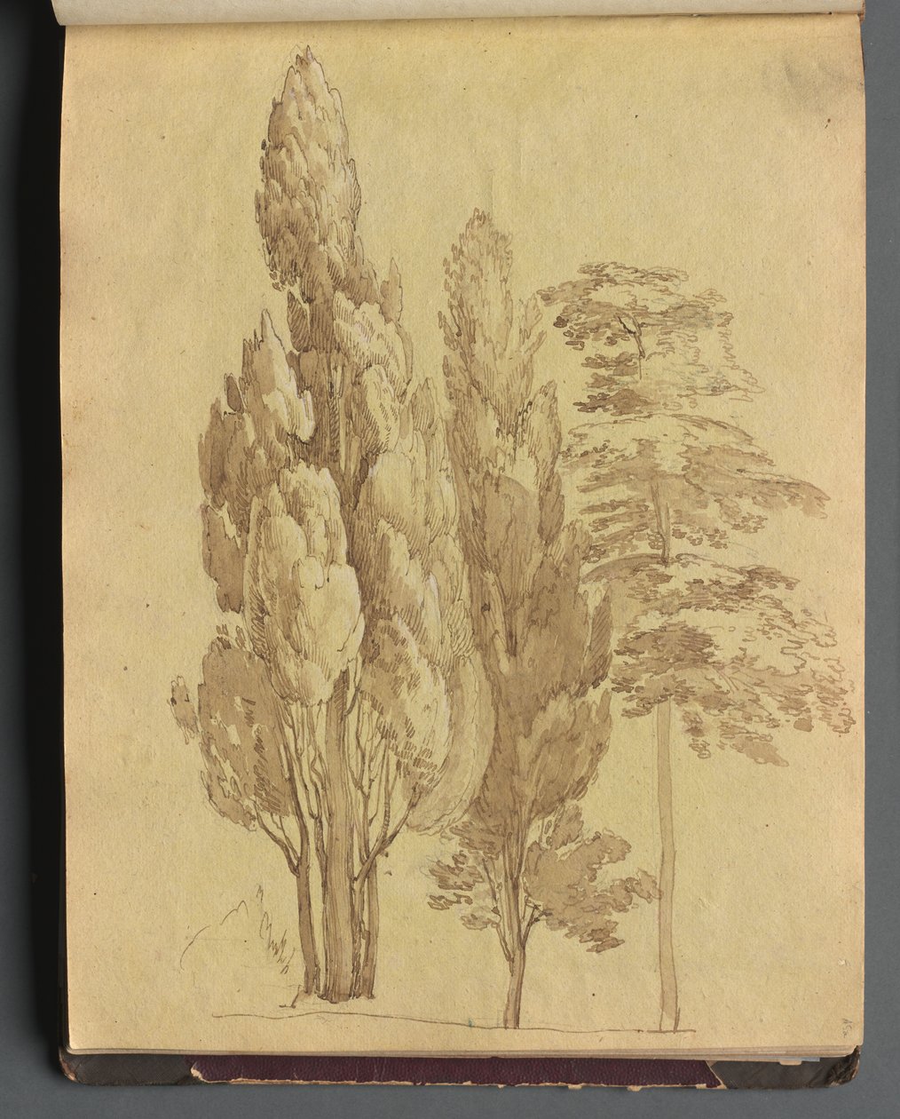 Roma ve Çevresi Manzaralı Albüm, Peyzaj Çalışmaları, sayfa 15a: Ağaçlar. by Franz Johann Heinrich Nadorp