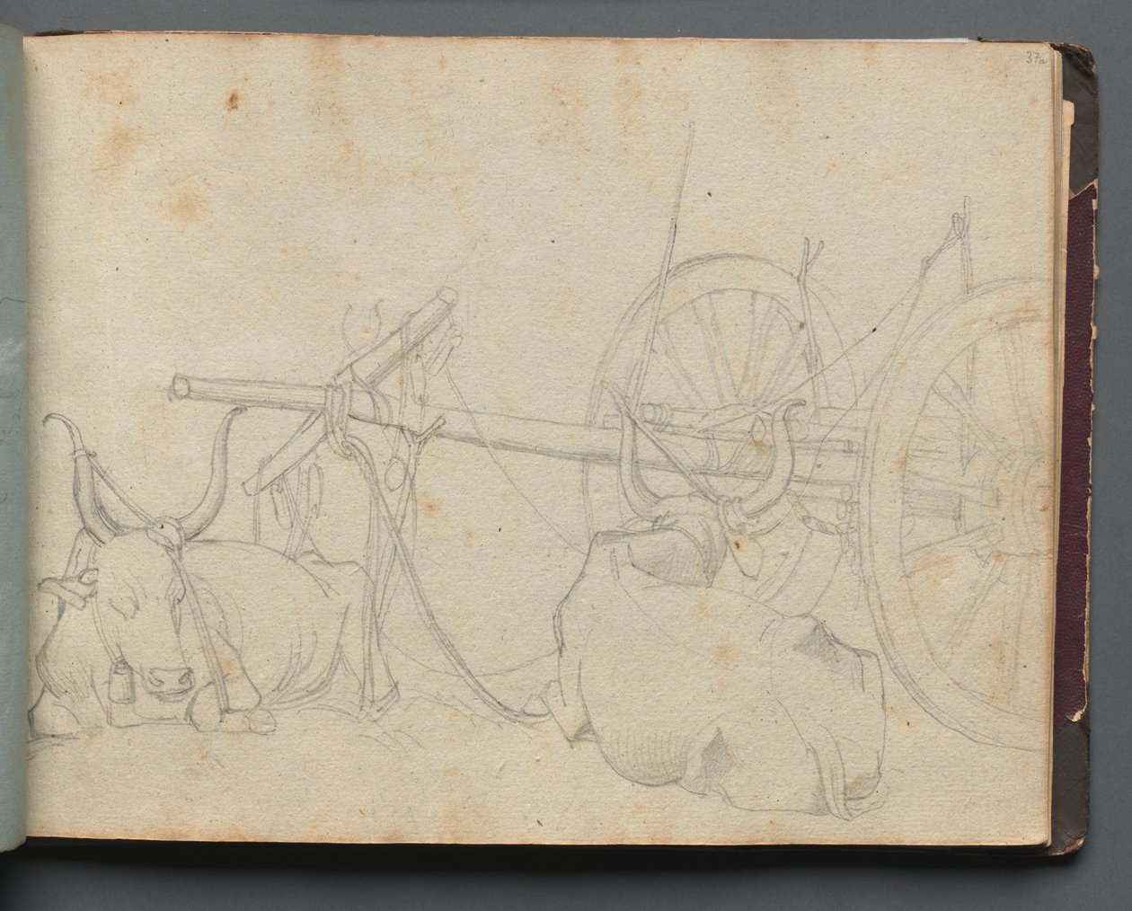 Roma ve Çevresi Manzaralı Albüm, Peyzaj Çalışmaları, sayfa 37a: Öküz ve Vagon by Franz Johann Heinrich Nadorp