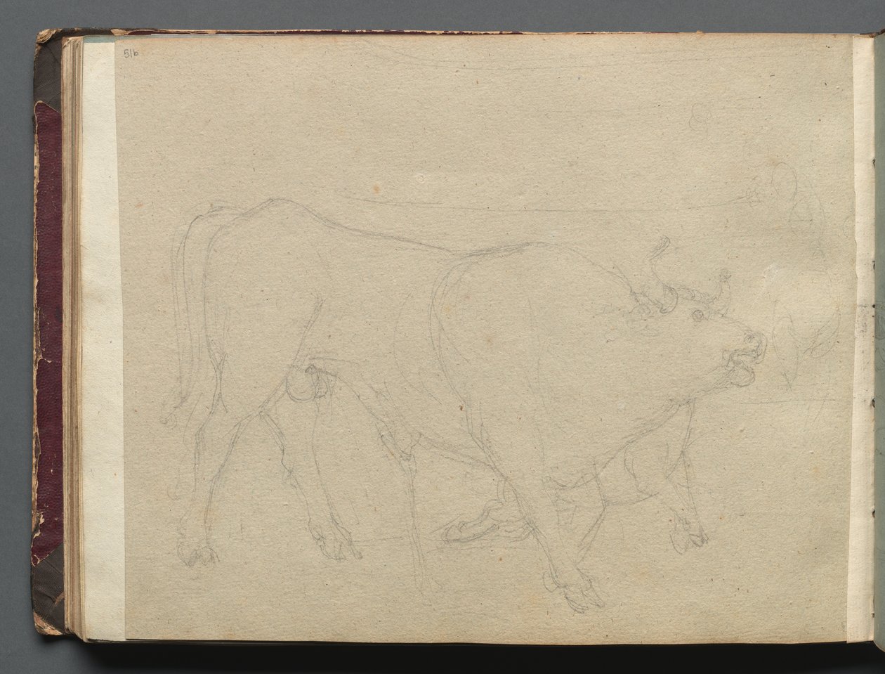 Roma ve Çevresi Manzaralı Albüm, Peyzaj Çalışmaları, sayfa 51b: Bir Boğa Çalışması by Franz Johann Heinrich Nadorp
