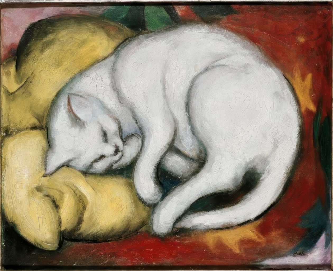 beyaz kedi by Franz Marc