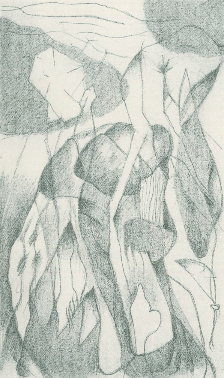  by Franz Marc