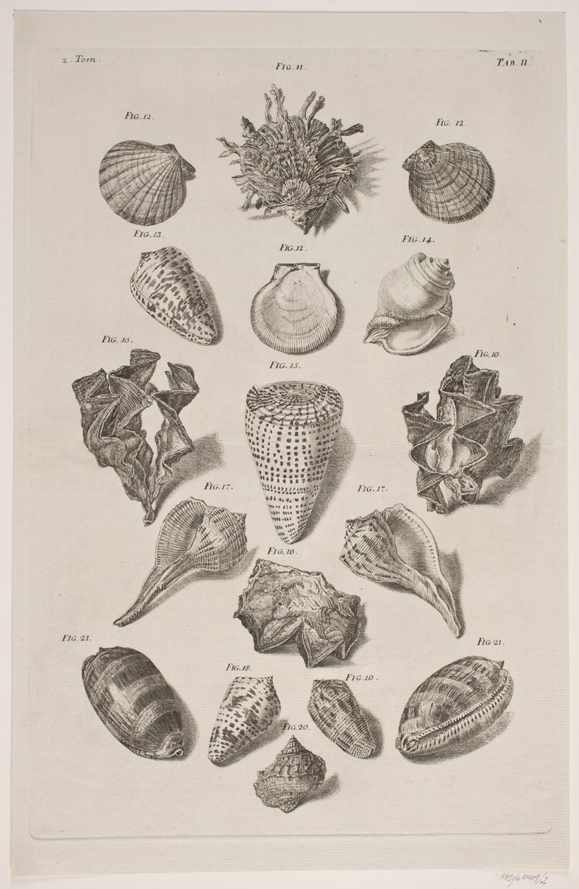 Konkylier med kurulu. Yönetim Kurulu 2. by Franz Michael Regenfus