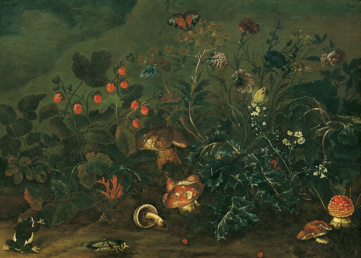 Çilek ve kriket ile çim by Franz Michael Siegmund von Purgau d. Ä.