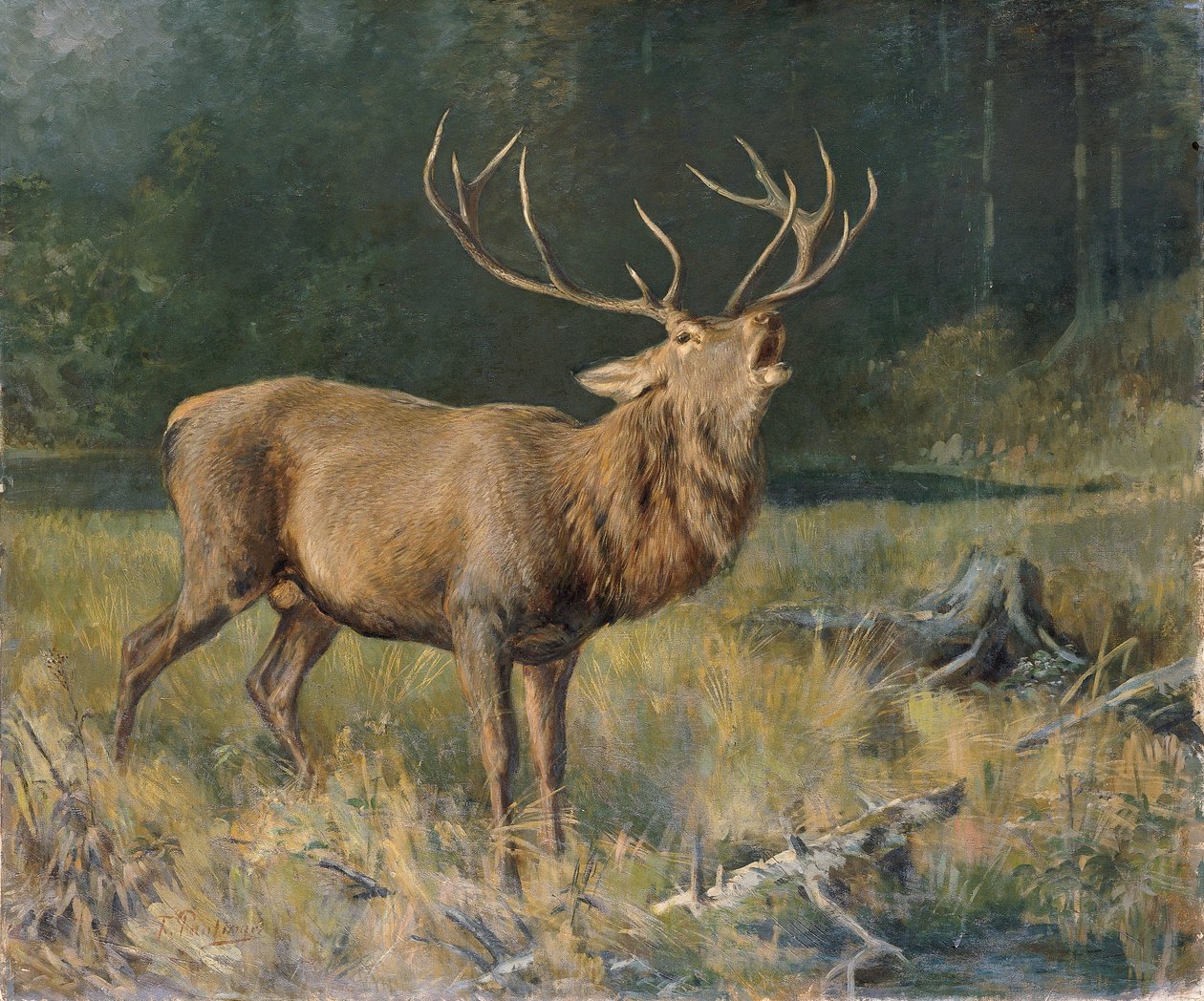 Brunfthirsch by Franz Xaver von Pausinger