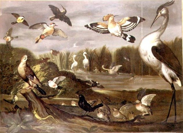 Bir alakarga, taş sohbeti, yaban ördeği, kuyruksallayan ve diğer kuşlarla nehir manzarası by Franz de Hamilton