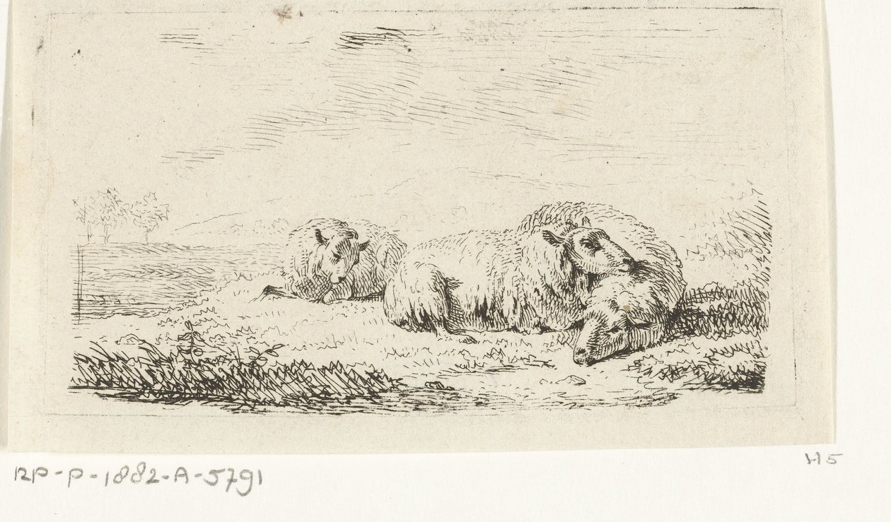 Otların arasında yatan üç koyun by Frédéric Théodore Faber