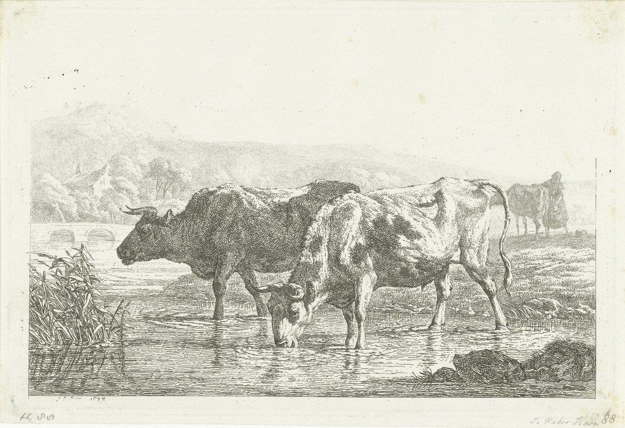 Iki içme inek by Frédéric Théodore Faber