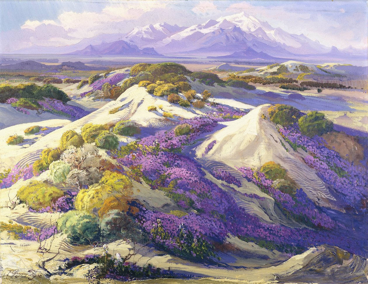 Verbena Kaplı Kum Tepeleri by Fred Grayson Sayre
