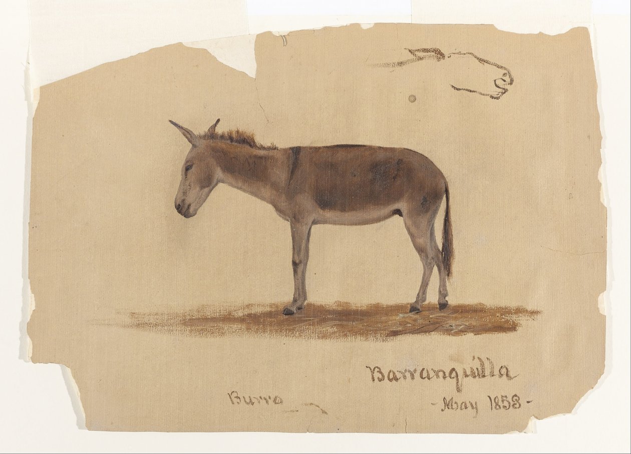 Bir Eşek, Barranquilla, Kolombiya by Frederic Edwin Church
