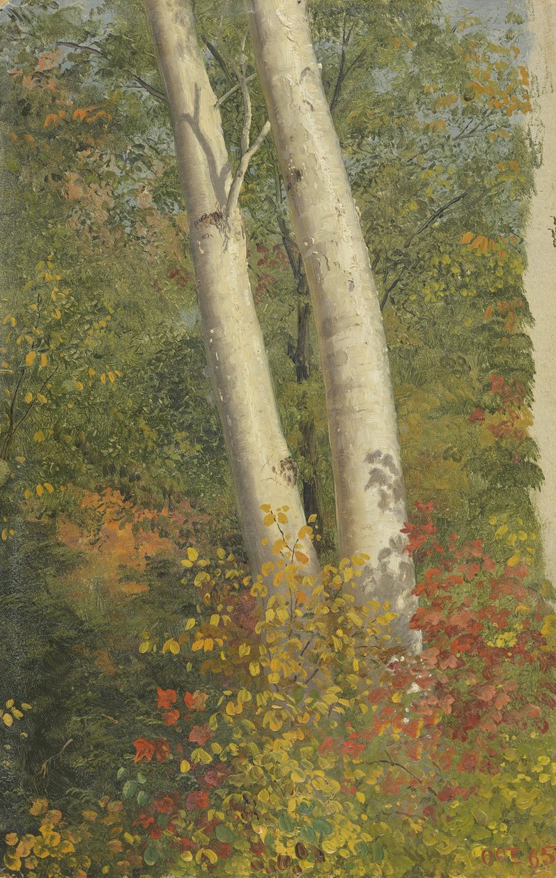 Sonbaharda Huş Ağaçları by Frederic Edwin Church