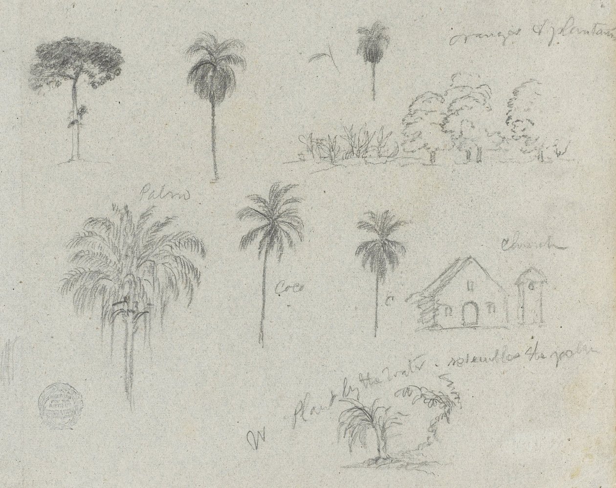 Rio Magdalena, Kolombiya