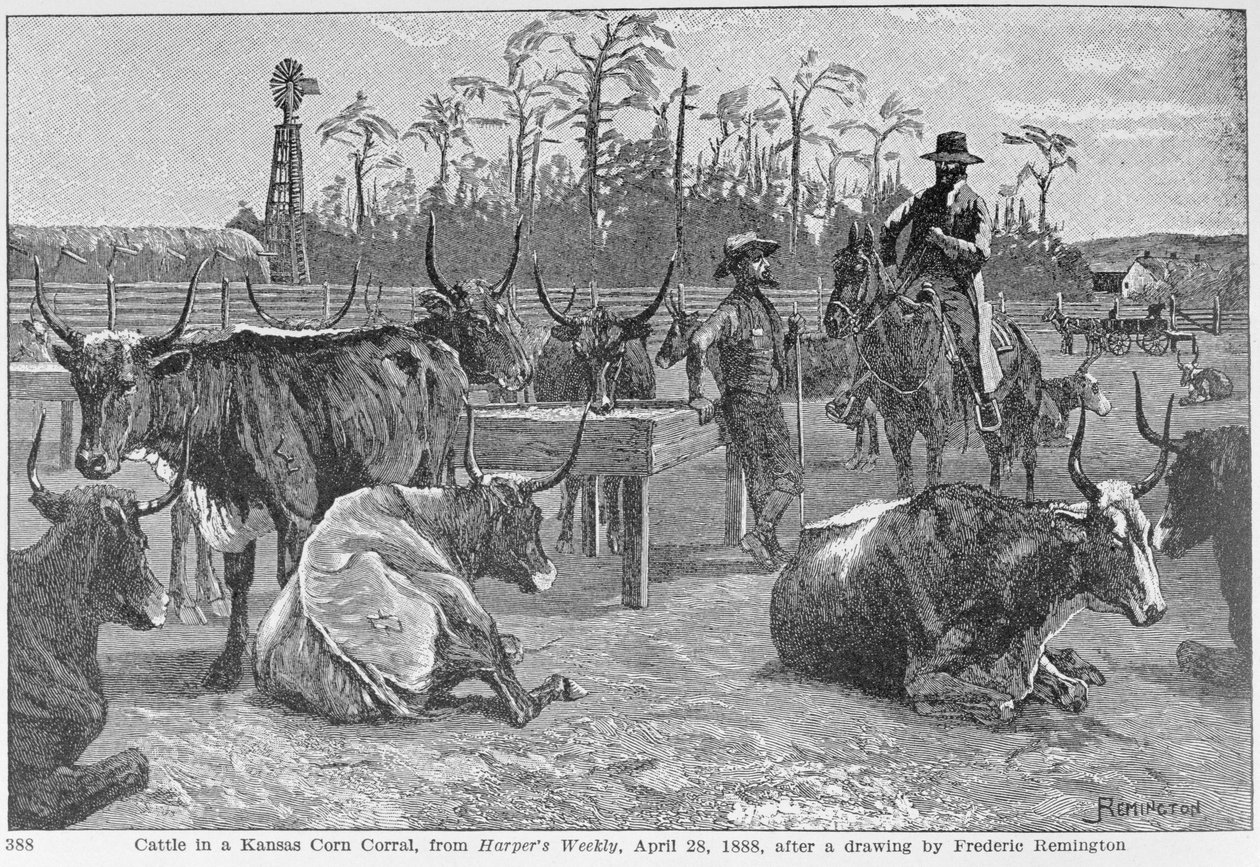 Kansas Corn Corral