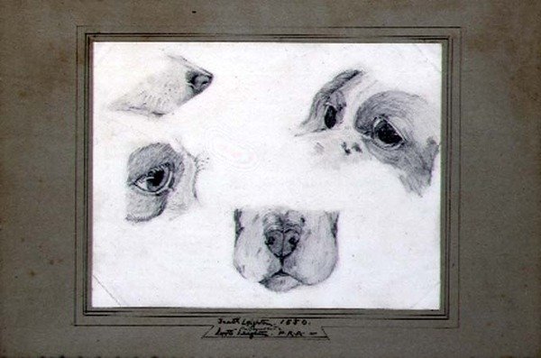 Sanatçının Köpeği Çalışmaları by Frederic (attr. to) Leighton