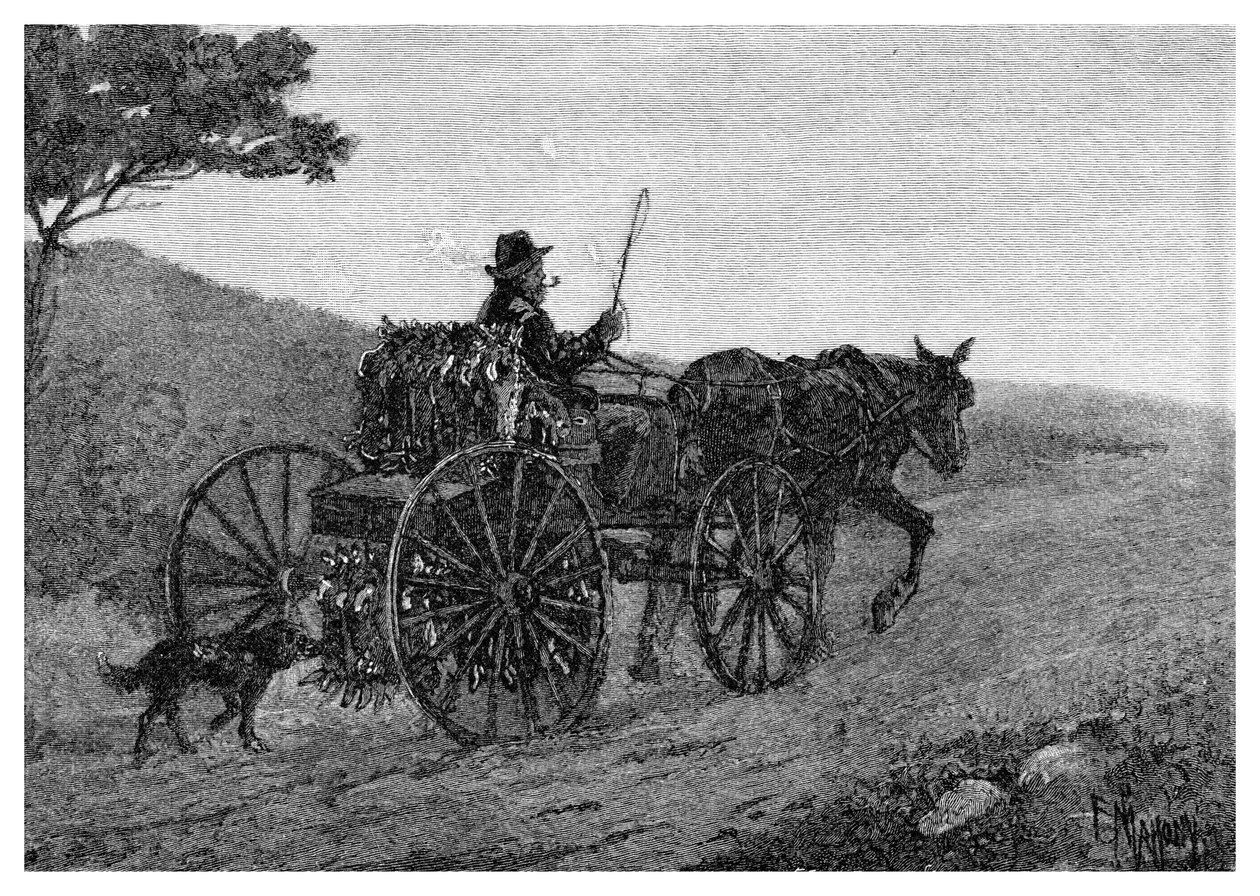 Bir Colac Tavşan Tuzağı, 1886. by Frederic B. Schell