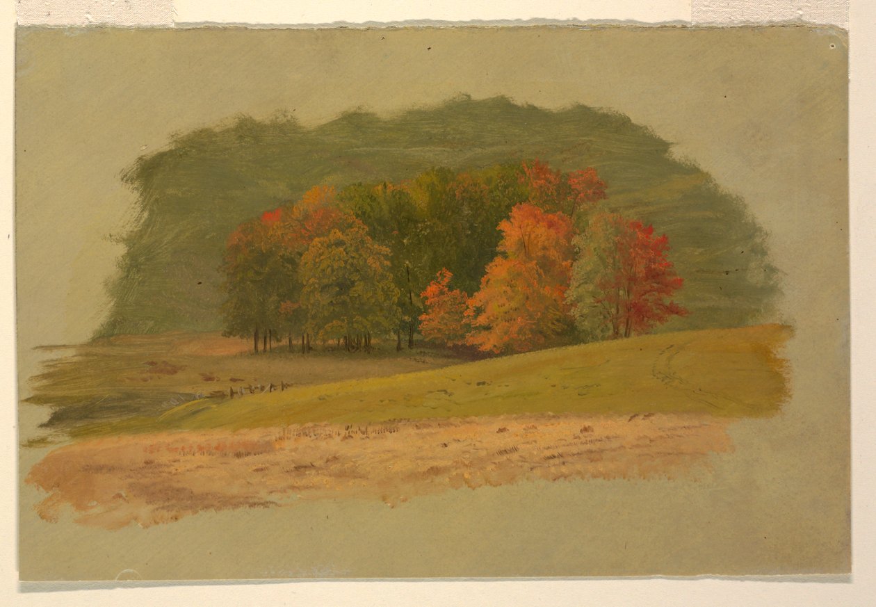 Sonbahar Manzarası by Frederic Edwin Church