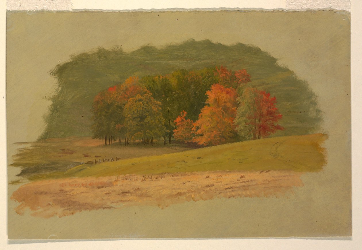 Sonbahar Manzarası by Frederic Edwin Church