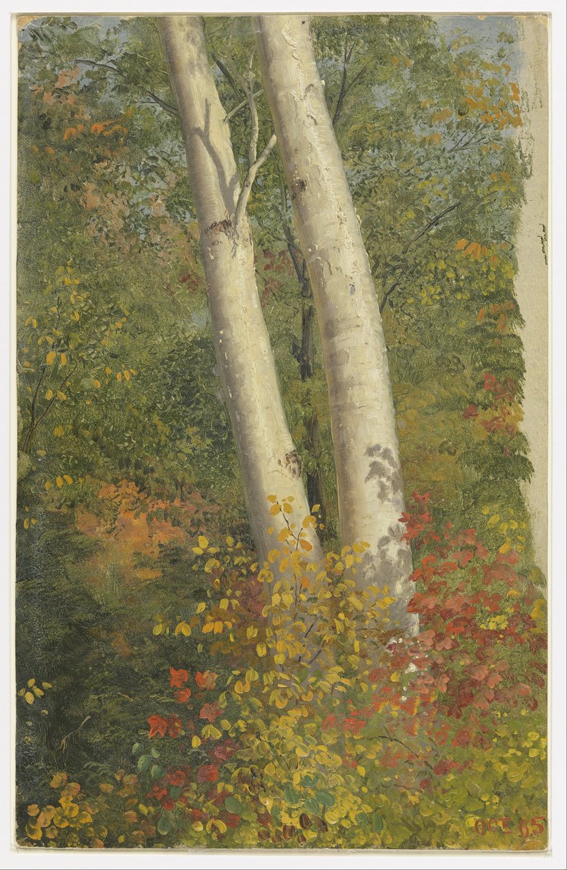  by Frederic Edwin Church