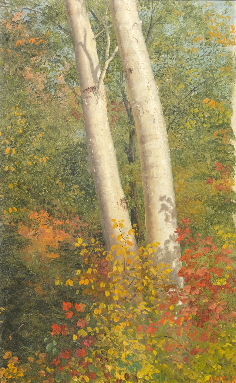 Sonbaharda Huş Ağaçları by Frederic Edwin Church