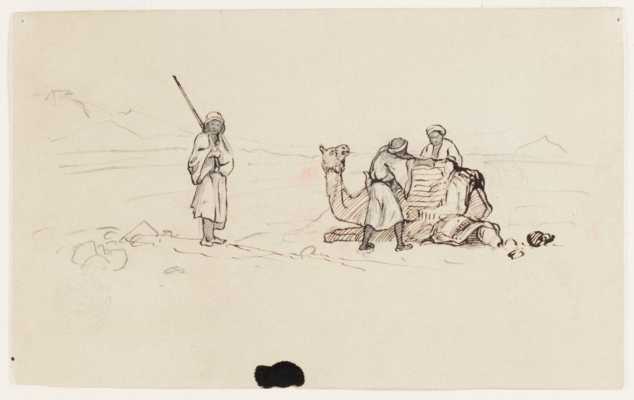 Bir Dromedary