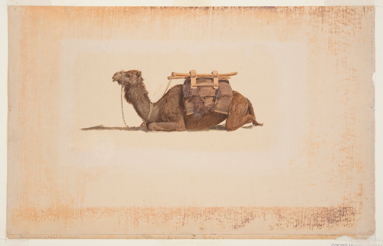 çömelmiş dromedary by Frederic Edwin Church