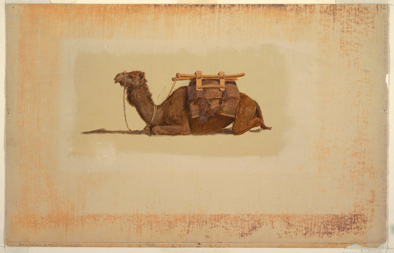 çömelmiş dromedary by Frederic Edwin Church