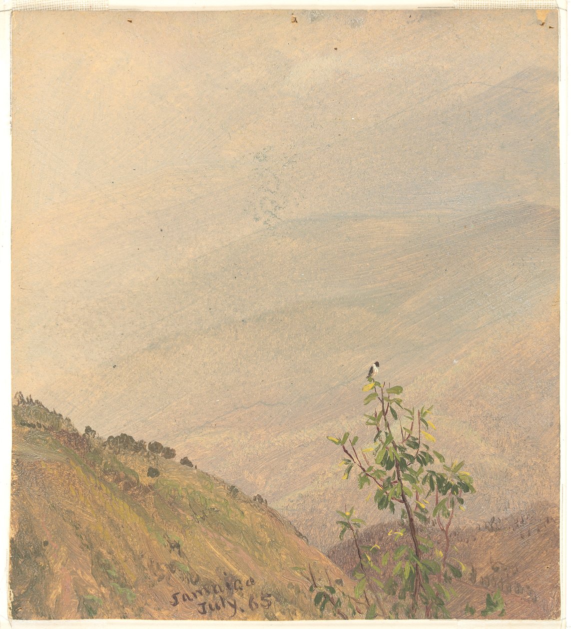 Uzak Tepeler, Jamaika by Frederic Edwin Church