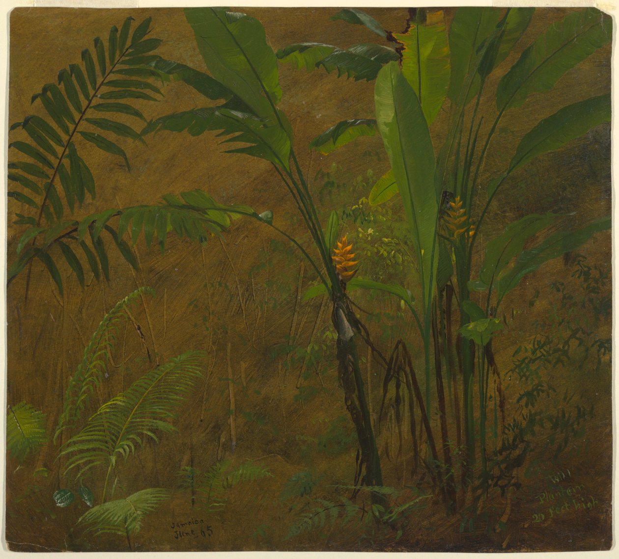  by Frederic Edwin Church
