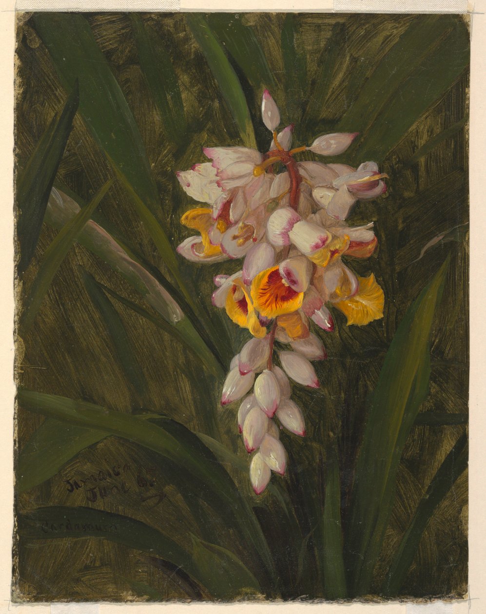  by Frederic Edwin Church