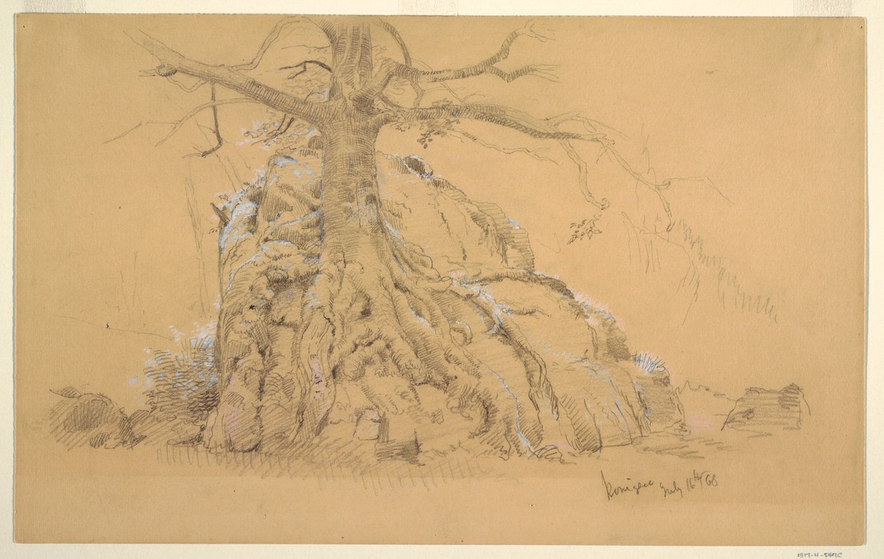  by Frederic Edwin Church