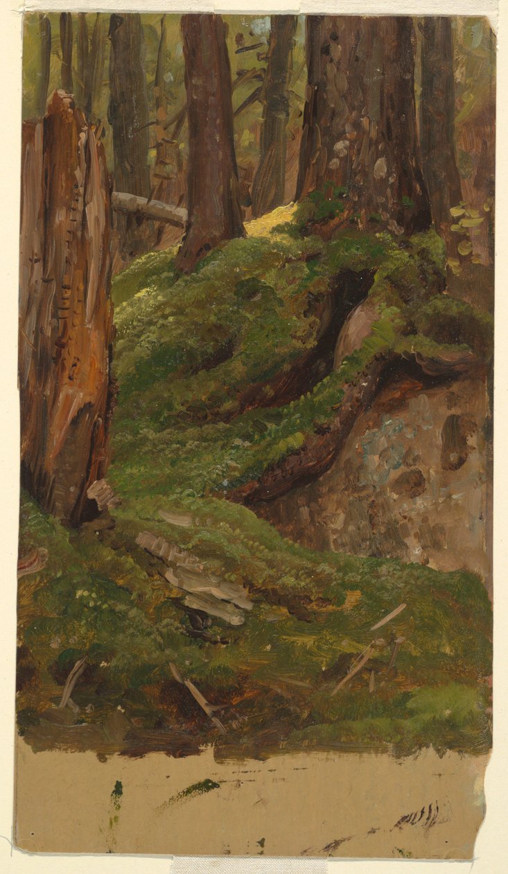  by Frederic Edwin Church