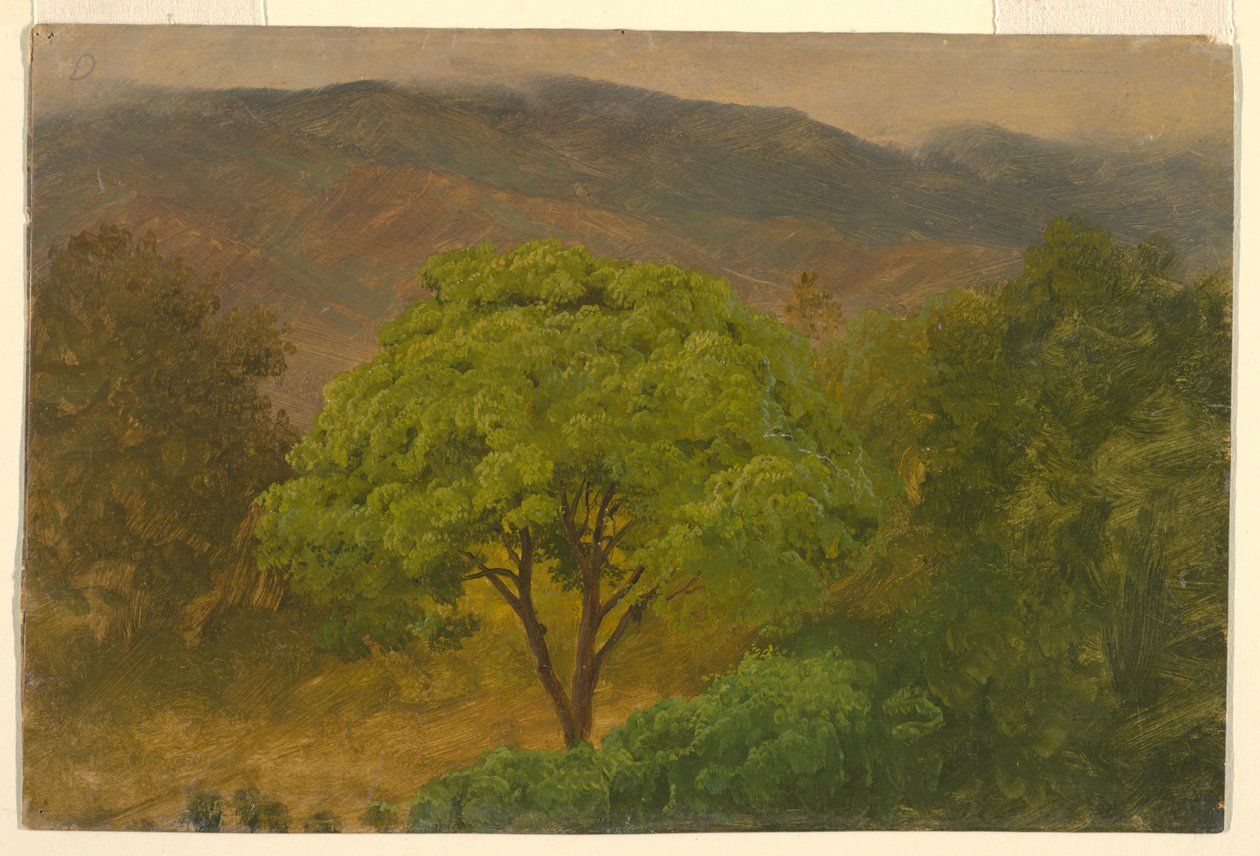  by Frederic Edwin Church