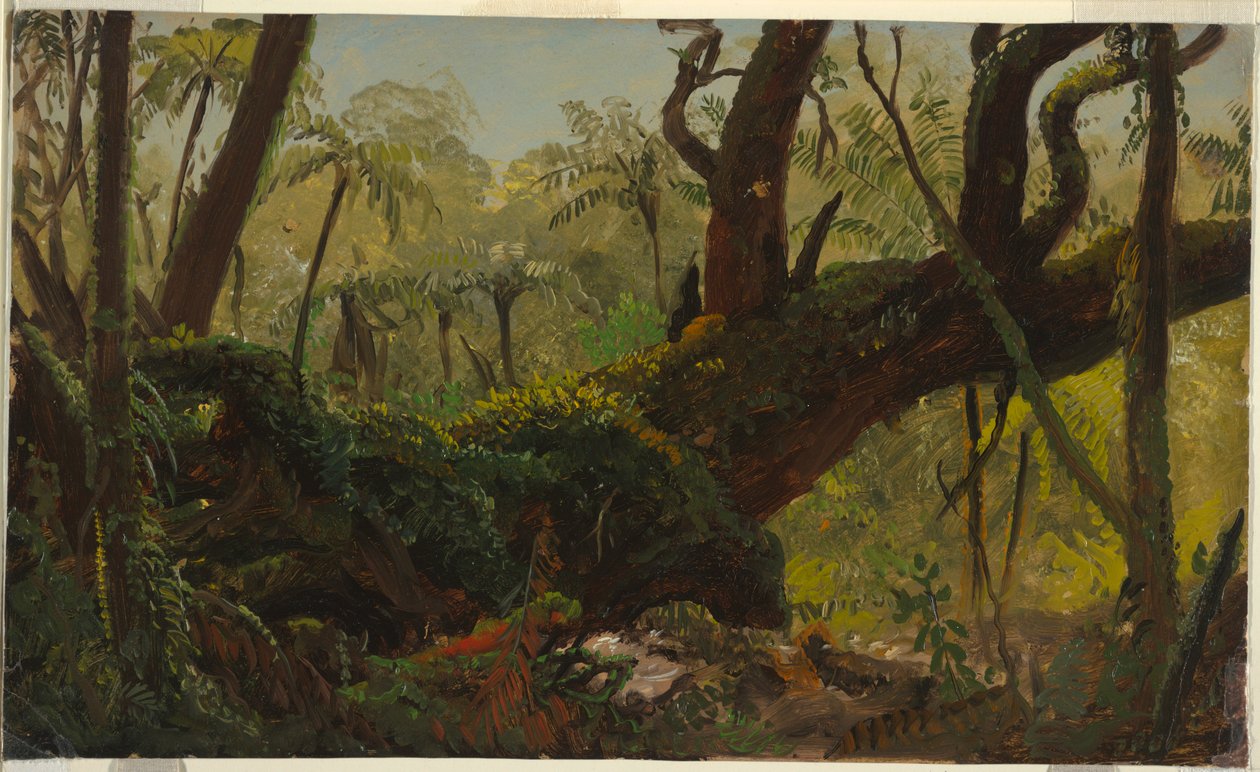  by Frederic Edwin Church