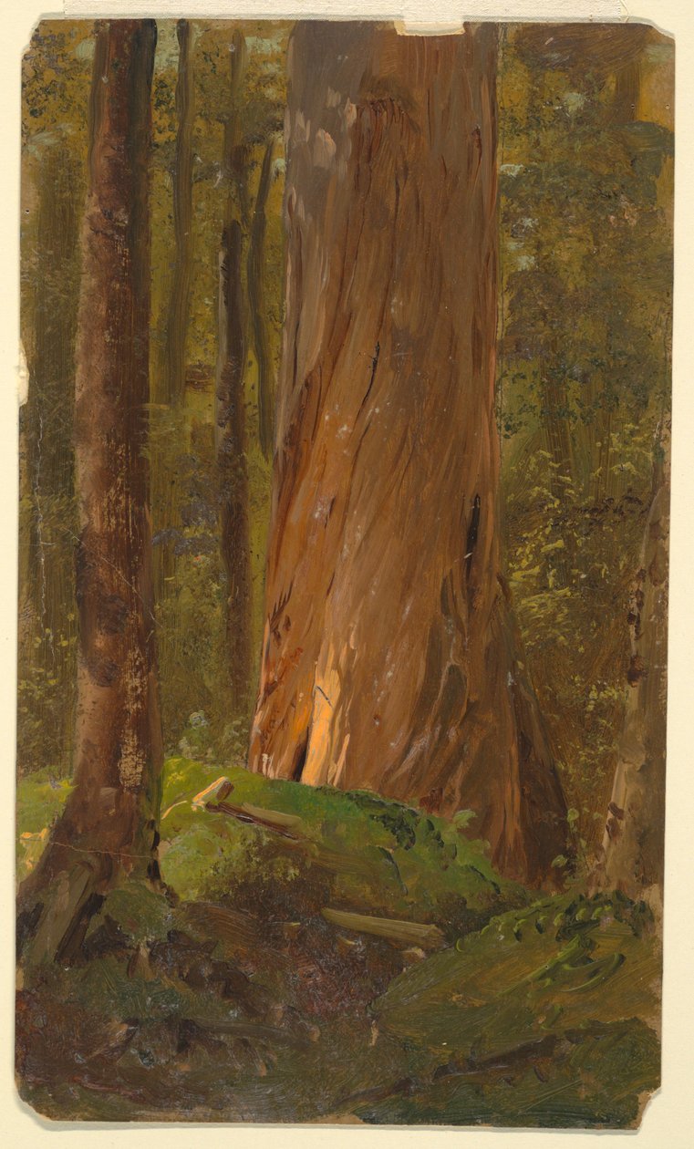  by Frederic Edwin Church