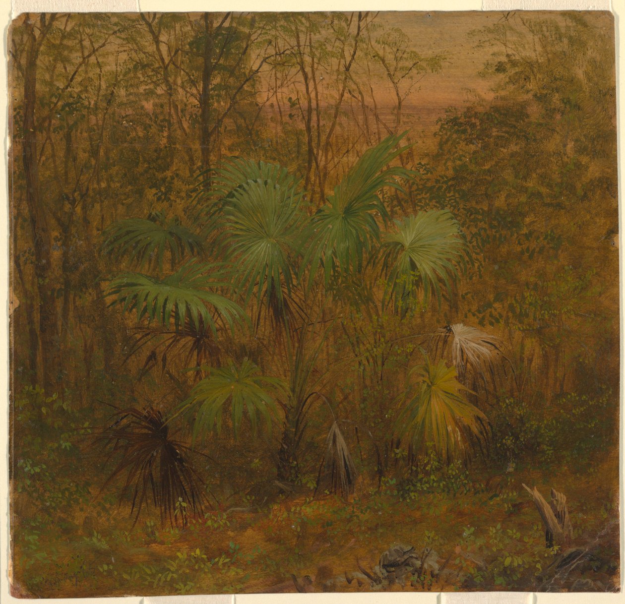  by Frederic Edwin Church