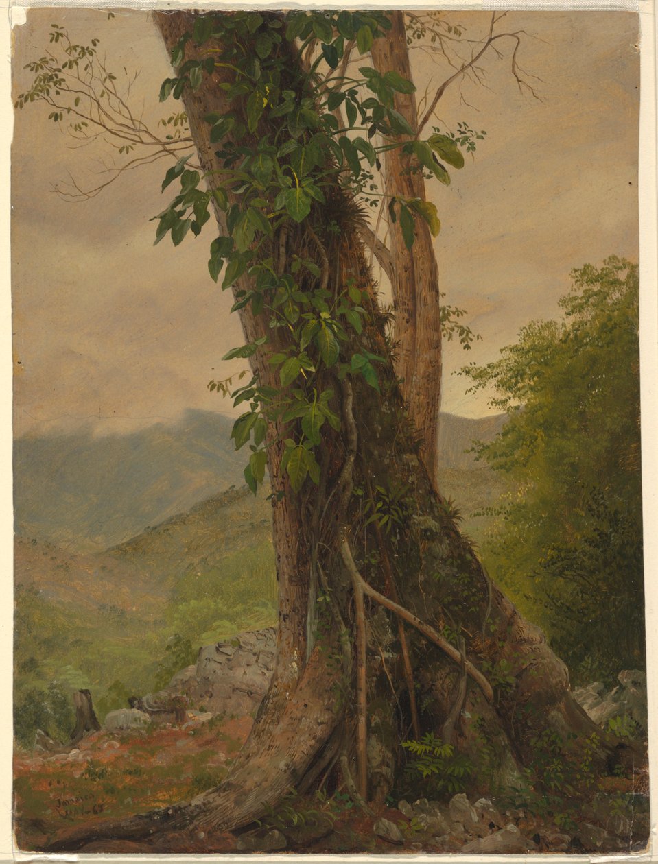  by Frederic Edwin Church