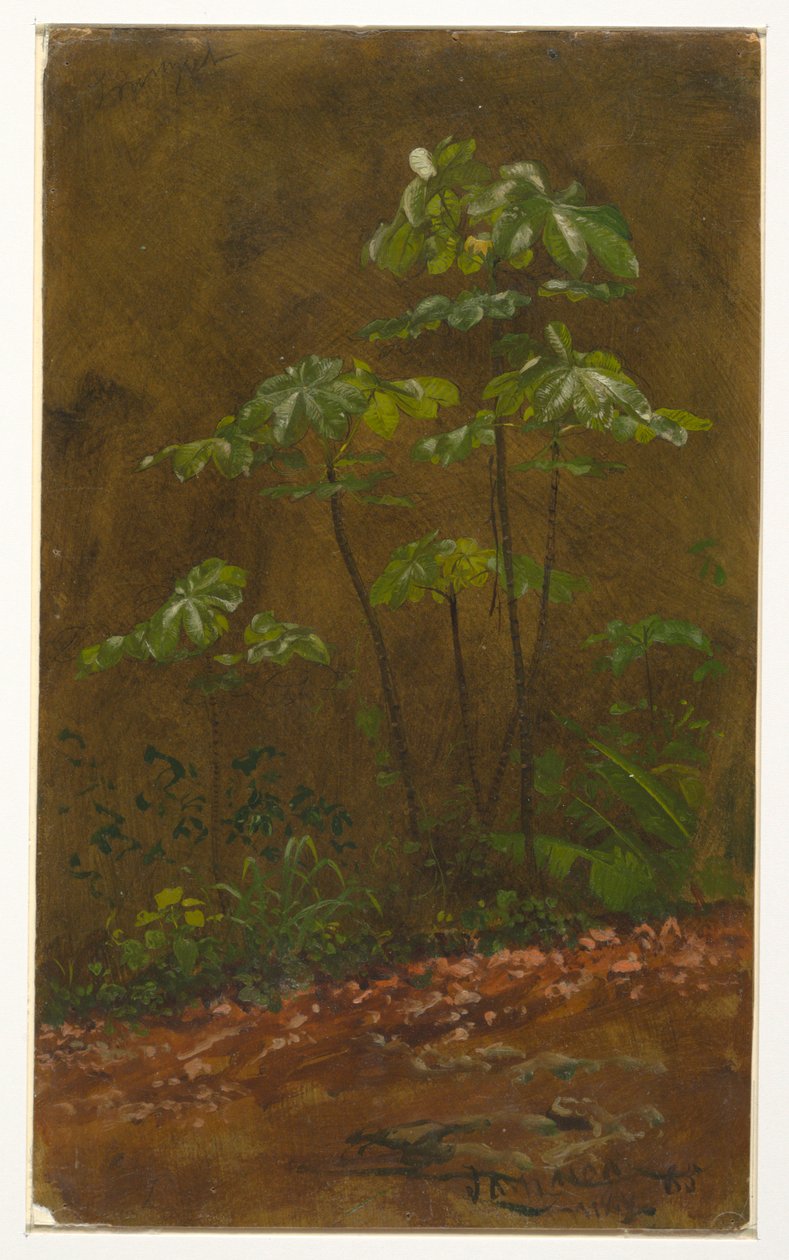 by Frederic Edwin Church