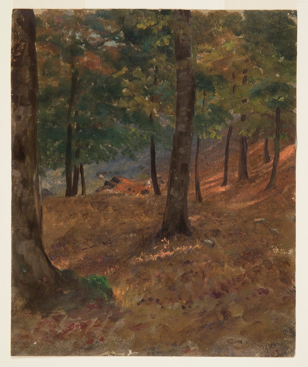  by Frederic Edwin Church