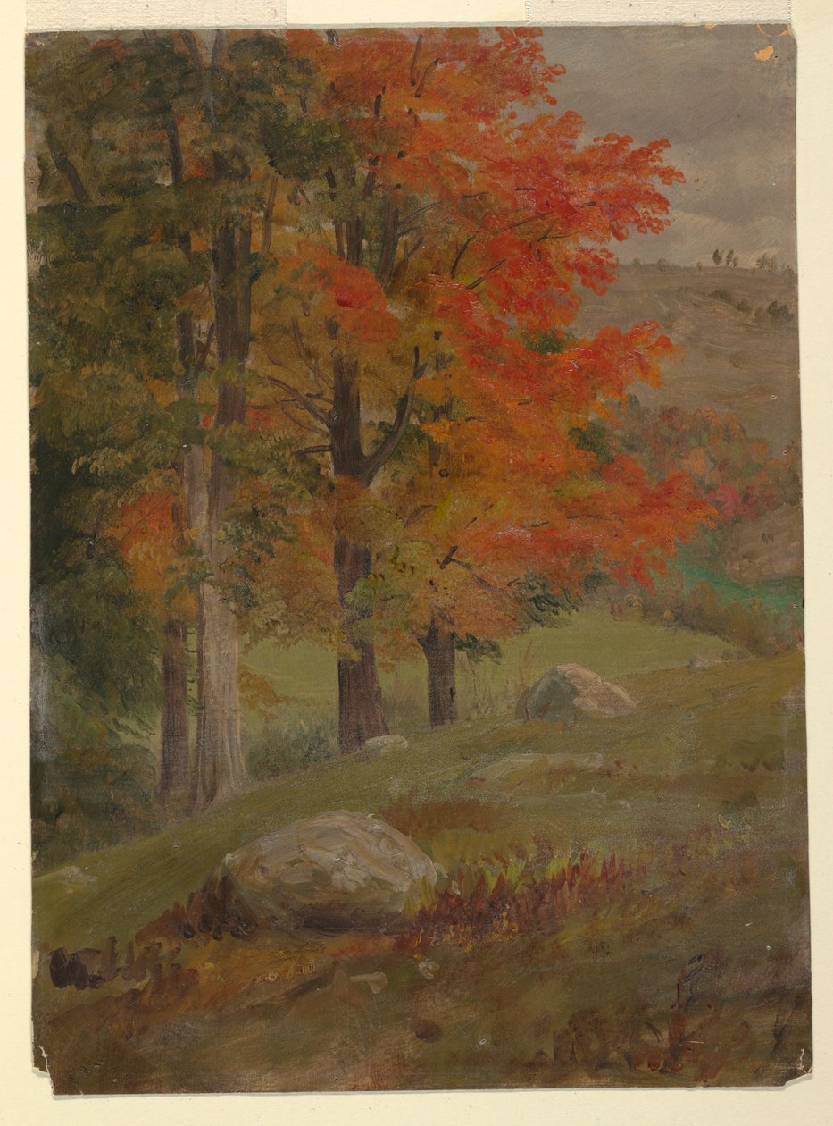  by Frederic Edwin Church