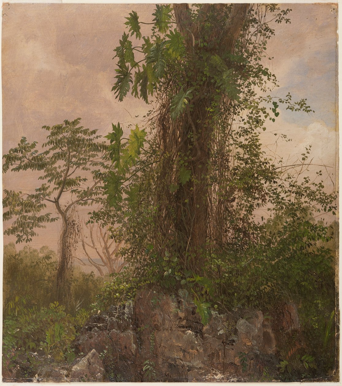 İncir Ağacı ve Yabani Philodendron by Frederic Edwin Church