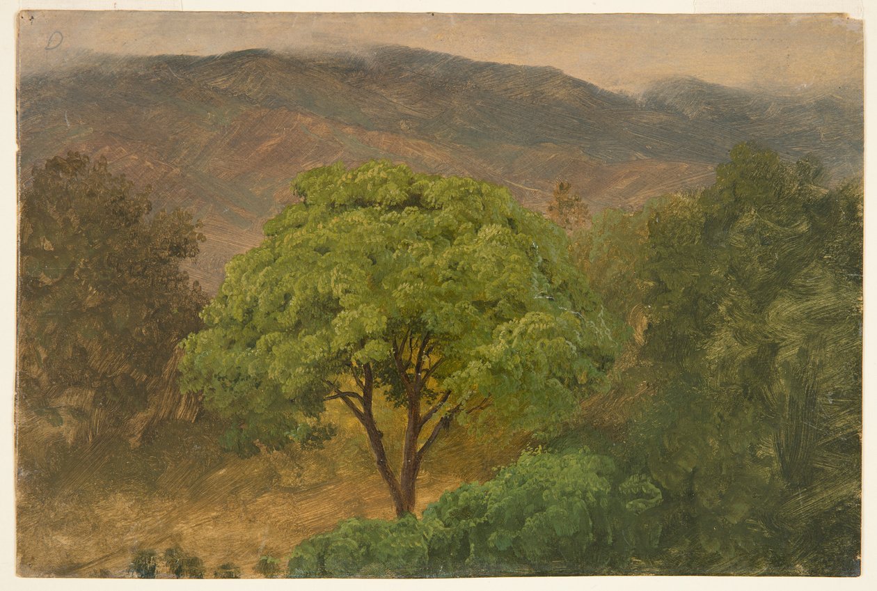 Dağlarda Genip Ağacı, Jamaika by Frederic Edwin Church
