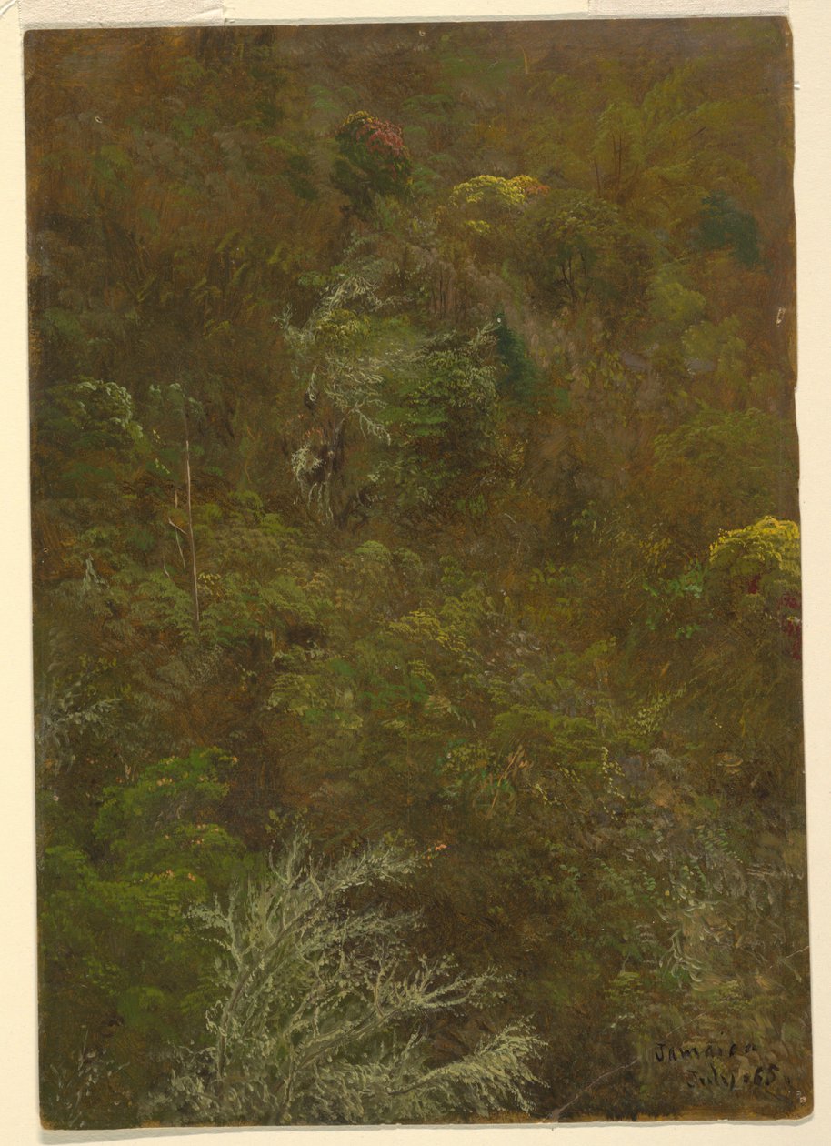Ağaçlar, Jamaika ile Hillside by Frederic Edwin Church