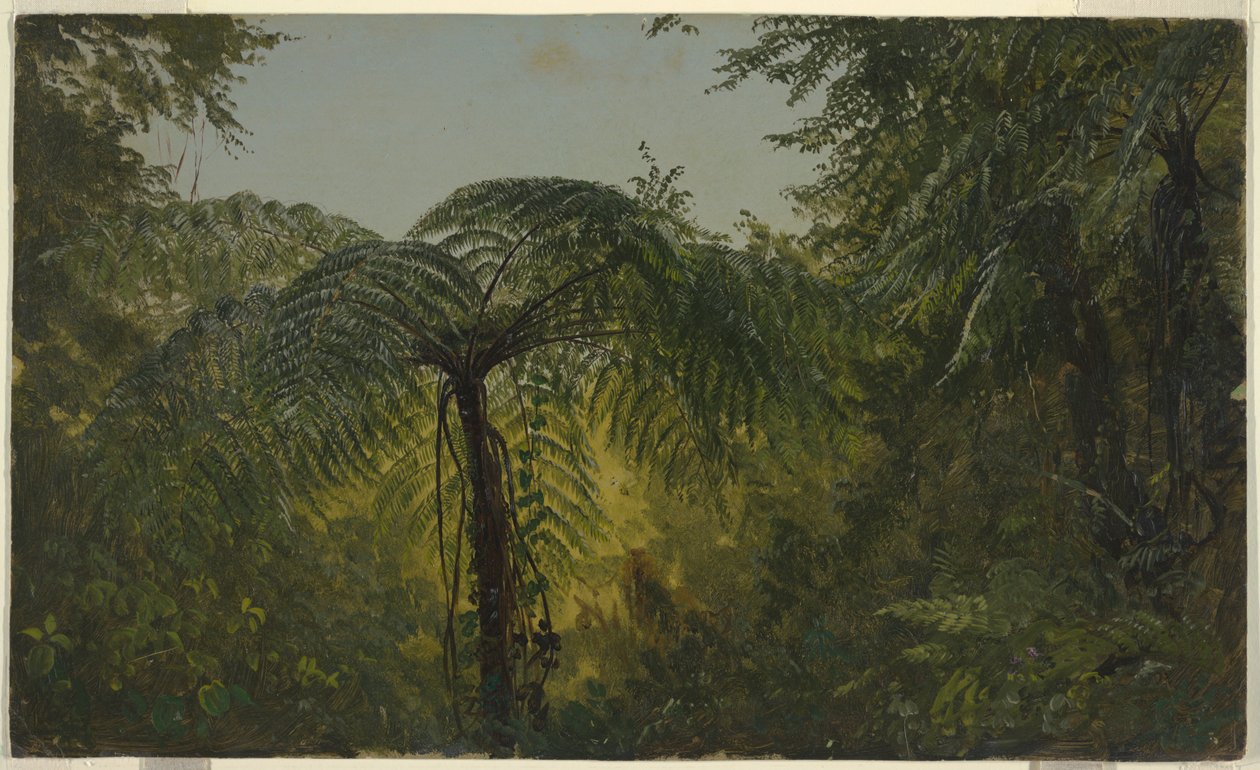 Orman Yeşilliği, Jamaika by Frederic Edwin Church