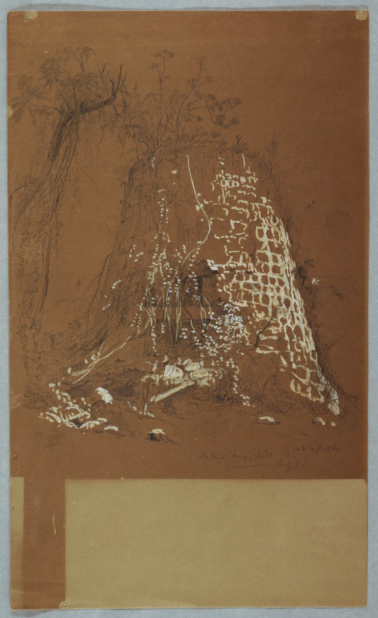 Eski Yel Değirmeni, Jamaika by Frederic Edwin Church