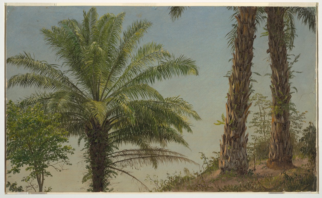 Palmiye Ağaçları, Jamaika by Frederic Edwin Church