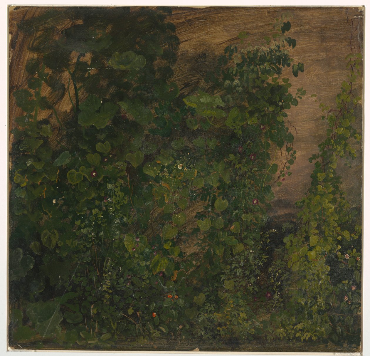 Philodendron Vines, Jamaika by Frederic Edwin Church