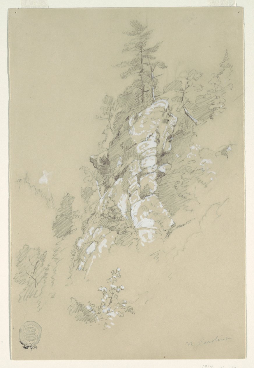 Rocky Hillside, Kuzey Karolina by Frederic Edwin Church