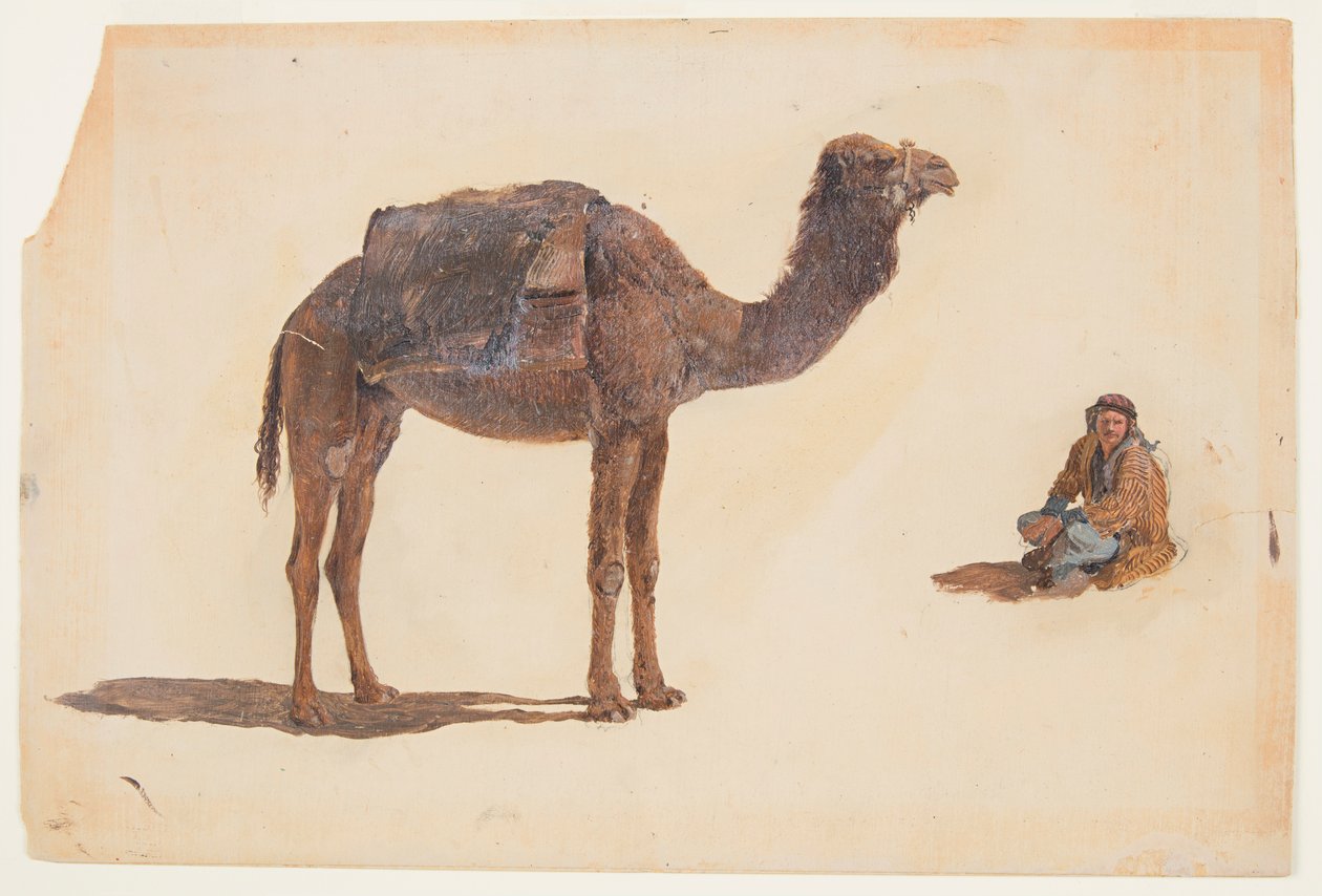 Bir dromedary çalışması by Frederic Edwin Church