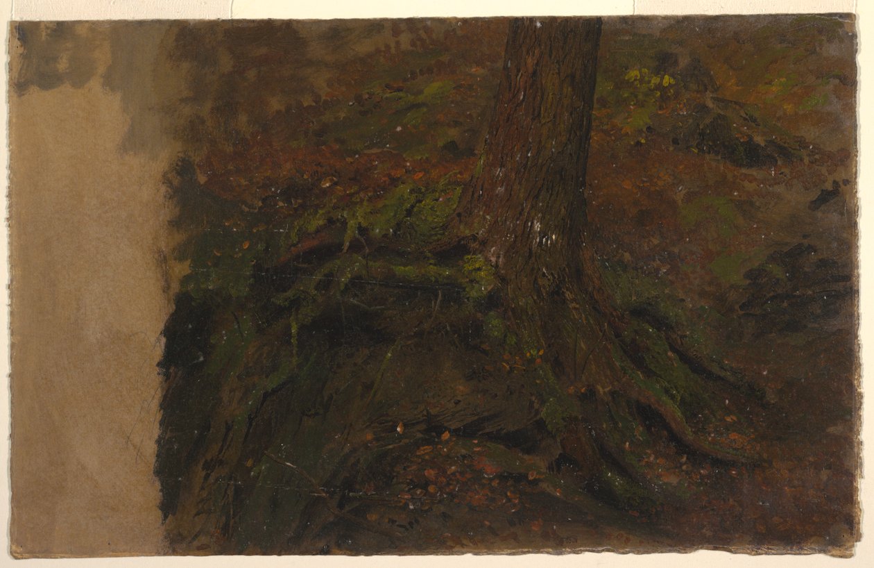 Bir ağaç gövdesinin incelenmesi by Frederic Edwin Church